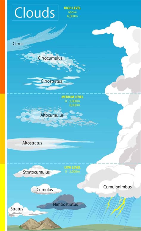 Types Of Clouds Discover The 4 Main Cloud Groups Az Animals