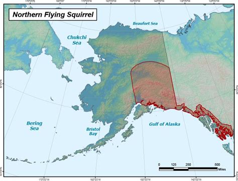 Northern Flying Squirrel Range Map Alaska Department Of Fish And Game