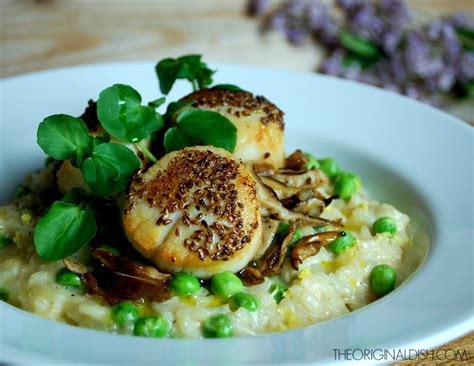 Anise Seared Scallops With Pea Risotto The Original Dish