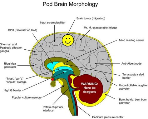 An ion of an atom is one in which the. Brain Jack Image: Brain Diagram