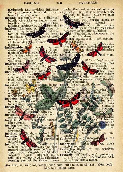 Butterflies Vintage Art Dictionary Free Stock Photo Public Domain
