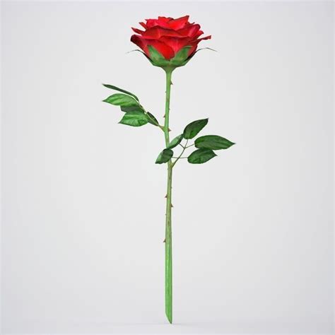 3d Model Realistic 3d Rose Flower Vr Ar Low Poly Max Obj 3ds Fbx