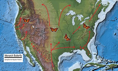 Maps Tracking Monarch Butterfly Fall Migration