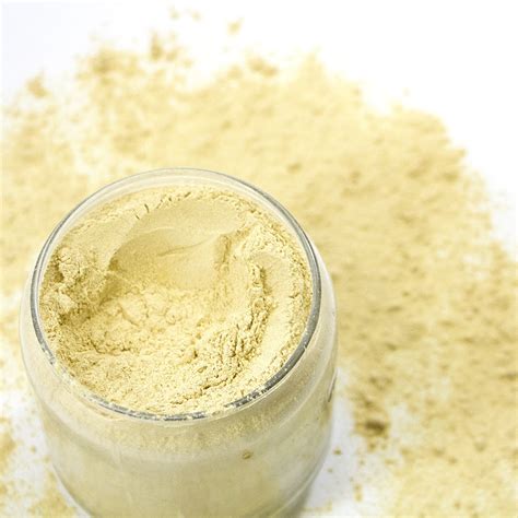 Real • Organic Garlic Powder - Real Organics and Naturals House