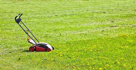 5 Best Lawn Mowers For Small Gardens 2021 Review