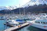Small Boat Harbor Seward Pictures