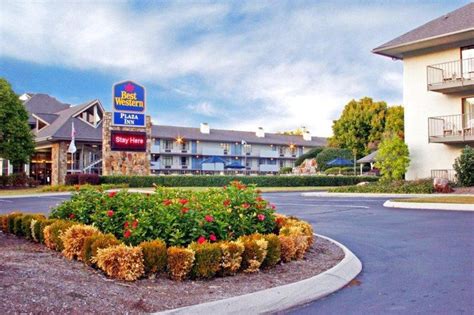 Best Western Plaza Inn Pigeon Forge Tn Bed Bugs Bed Western