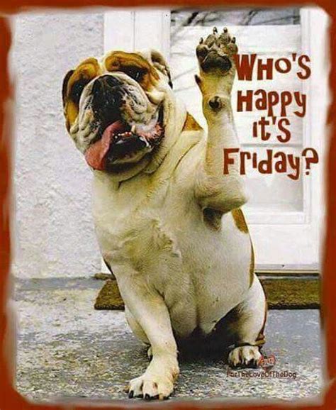 Whos Happy Its Friday Pictures Photos And Images For Facebook