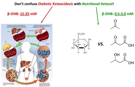 This is because it is difficult for the body to get into a state of ketoacidosis without the blood sugar control issues that resistance training seems to have similar (if not better) effects as well. DKA vs. NK | Ketosis, Ketoacidosis diet, Diabetic ketoacidosis