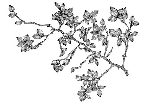 Flower flower line drawing black and white line drawing flower cluster flowers foliage plant leaves hand drawn elements. Plant Line Drawing at GetDrawings | Free download