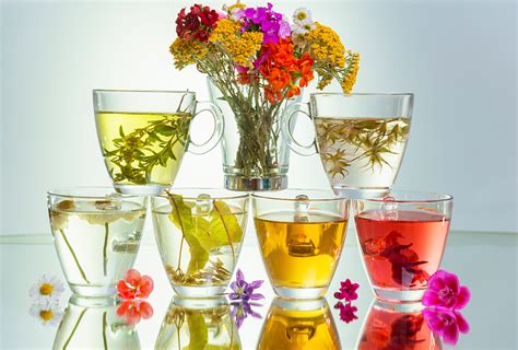 Reasons Why Herbal Teas Are Good for Health - eMediHealth