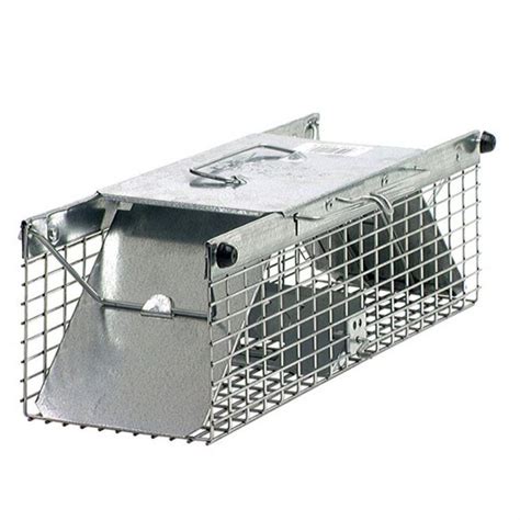 Top 4 Best Squirrel Traps To Buy 2019 Review Pest Wiki
