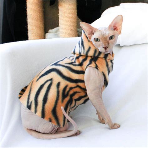 Costume Sphynx Cat Clothes Hoodie Or Tank Halloween Tiger Etsy