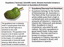 Image result for pictured soursop fruit medicinal plant