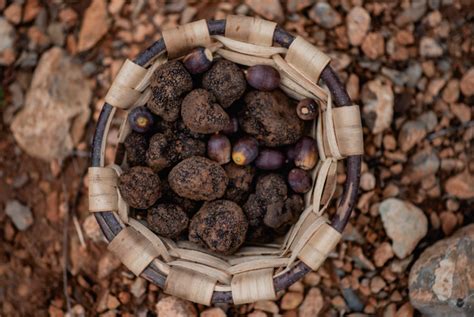 Faits Surprenants Sur La Truffe Noire Que Vous Ne Connaissiez Peut