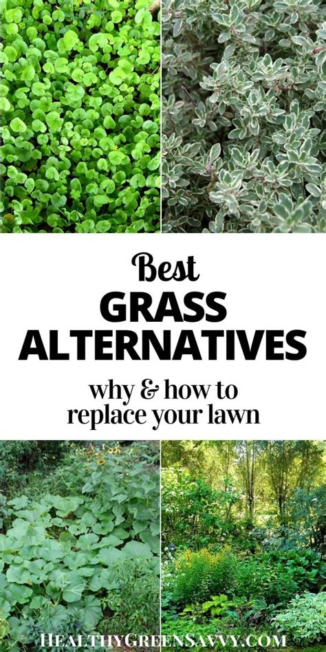 Grass Alternatives Why And How To Replace Your Lawn