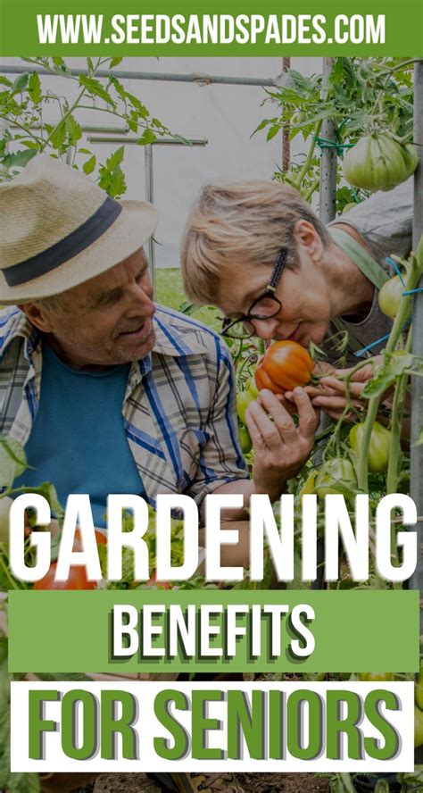 7 Benefits Of Gardening For Seniors 2 May Surprise You In 2021