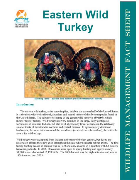 Pdf Wmfs Wild Turkey · The Eastern Wild Turkey Wild