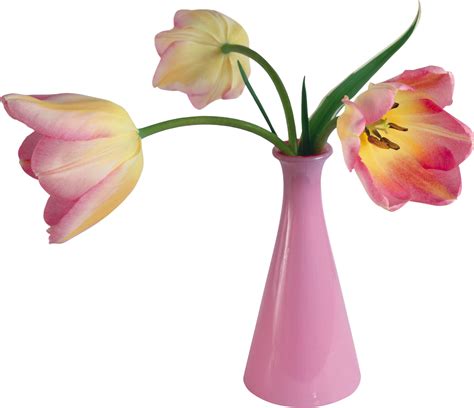 Vase Png Image Ваза Декоративные вазы Настенные вазы