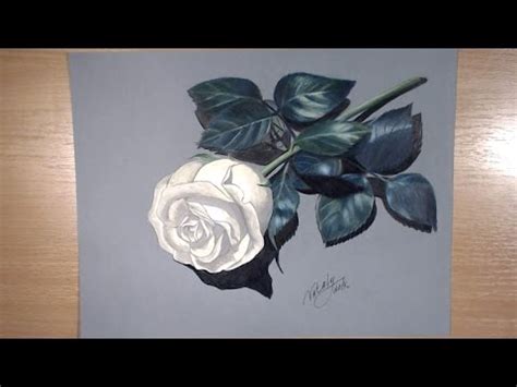 Hand drawn black and white wind rose. Drawing a Rose (Colored pencil drawing) - Time Lapse - YouTube