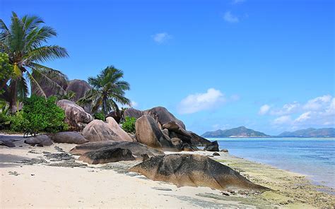 Nature Landscape Seychelles Island Beach Rock Palm