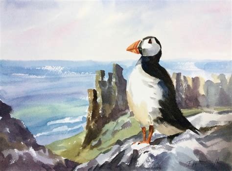 England And Uk Bird Watching And Wildlife Art Holidays