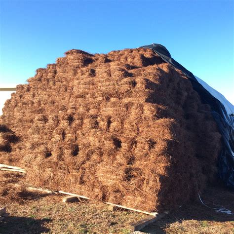 Bales Of Pine Straw Natural Ground Cover For Healthy Gardens Alex