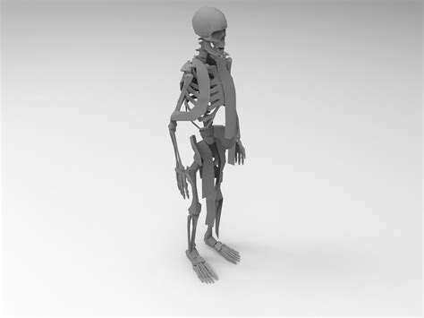 3d Model Skeleton Vr Ar Low Poly Cgtrader