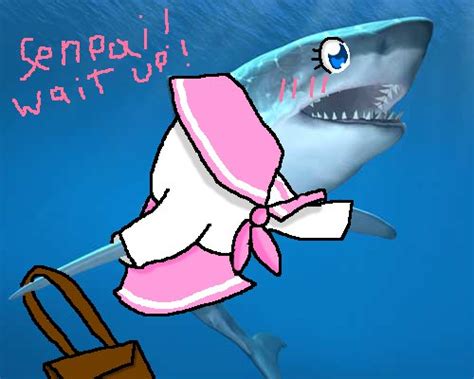 anime shark tsundere sharks know your meme