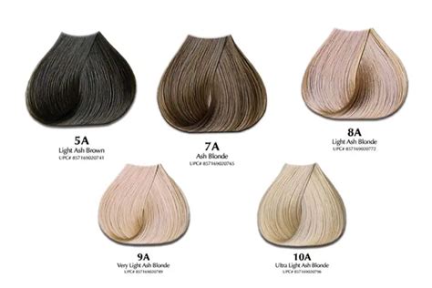 Ash Brown Bremod Hair Color Chart Image Result For Light Ash Brown