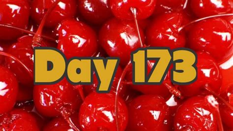 Day 173 Cherry Daily Youtube