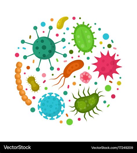 Coleccion De Bacterias De Dibujos Animados Conjunto Vector Grafico Images