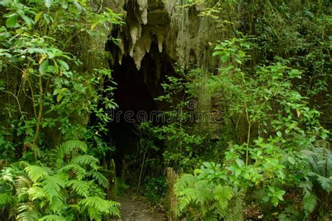 Hidden Cave Entrance Stock Image Image Of Large Rock 211570343