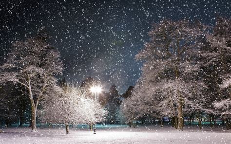 Wallpaper Night Snow Winter Frost National Geographic Freezing