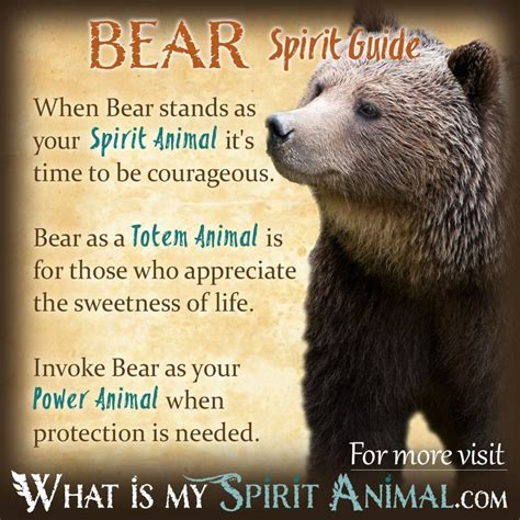 Mammal Symbolism And Meaning Spirit Totem And Power Animal Bear