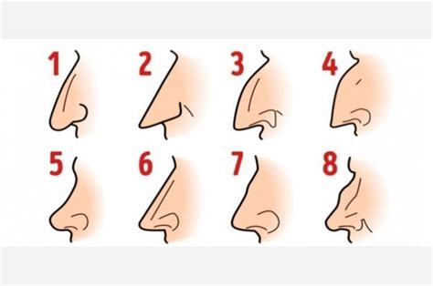 Tes Psikologi Punya Makna Mendalam Cek Bentuk Hidung Anda Untuk