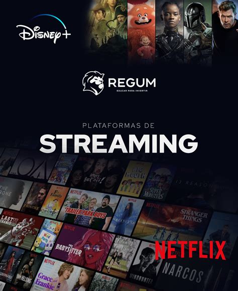Informe Plataformas De Streaming Junio Regum