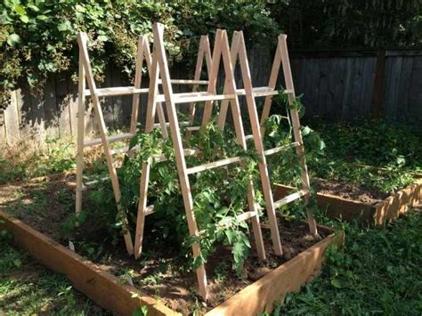 34 Best Tomato Support Ideas For Better Yield My Desired Home Diy