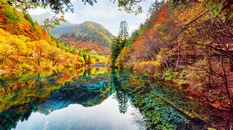 Yellow Green Red Orange Autumn Spring Leaves Trees Mountain Slope