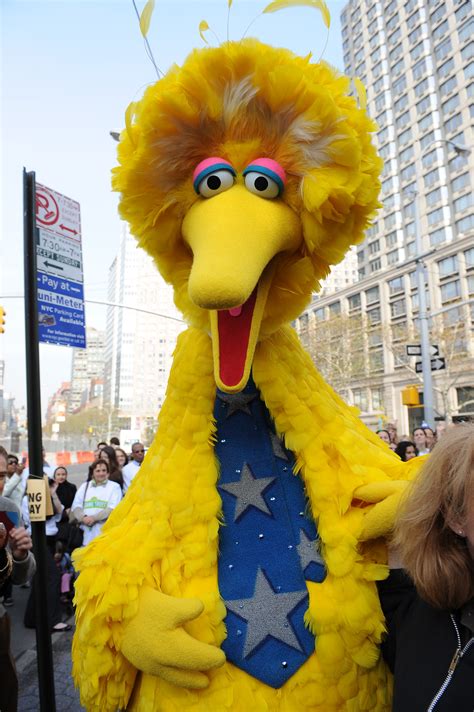 Big Bird And Big Media What Sesame Street On Hbo Means Time