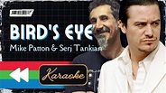 Mike Patton & Serj Tankian - Bird's Eye (Karaoke) - YouTube