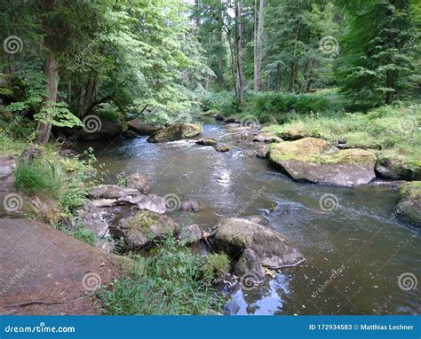 Wild Water River In Green Forest With Rocks Stock Image Image Of Wild