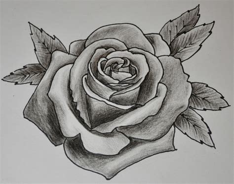 Rose Tattoo Sketch Simply