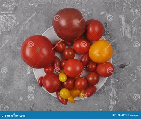 Variety Of Tomato Cultivars On Plate And Concrete Stock Image Image