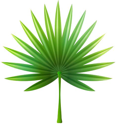 Leaves Png Images Transparent Free Download