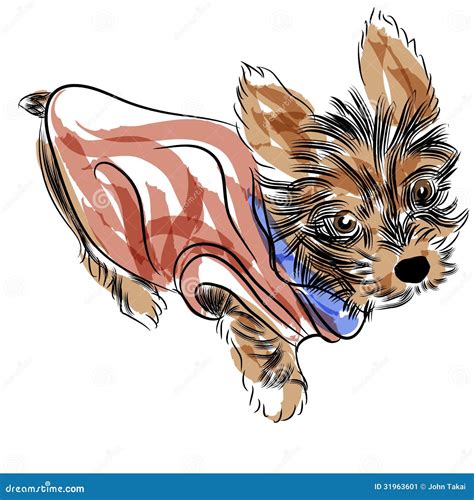Yorkshire Terrier Vector Illustratie Illustration Of Zwart 31963601