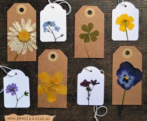 We Compiled A List Of 40 Diy Pressed Flower Ideas For You To Make If