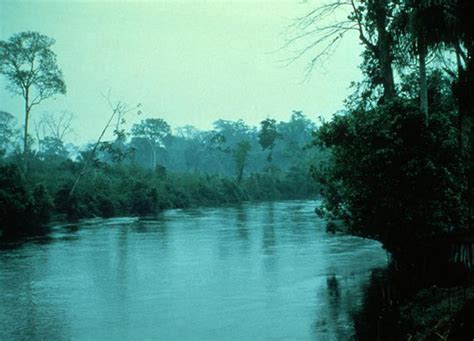 Terranature Swamps And Marshes Emit Greenhouse Gas Methane