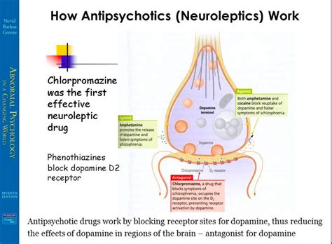 Methods Of Modifying Behaviour 1 Antipsychotic Drugs Diagram Quizlet