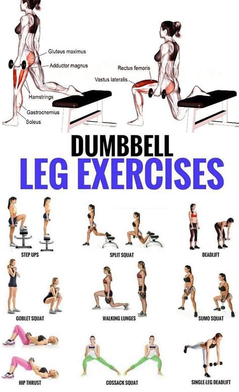 Top 5 Dumbbell Exercises For A Leg Destroying Workout